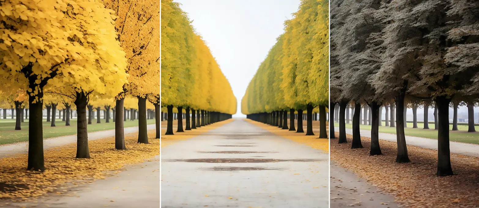 Outsource Photo Perspective Correction Services in the UK