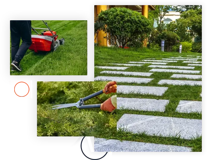 Grass Replacement Services