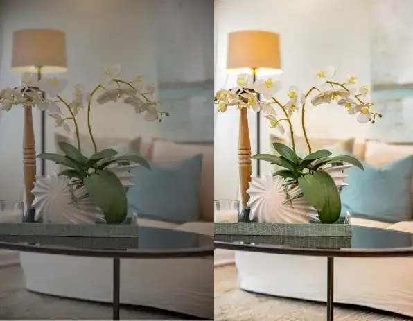 Raw Image Conversion Services